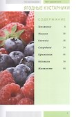 Моя чудесная дача т.11 Ягодные кустарники (Горбунов) - 1