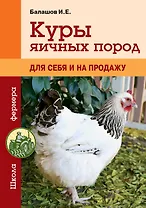 Куры яичных пород