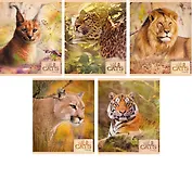 Тетрадь 48л кл. "Хищники (Wild cats)" мел.картон, ассорти, Unnika