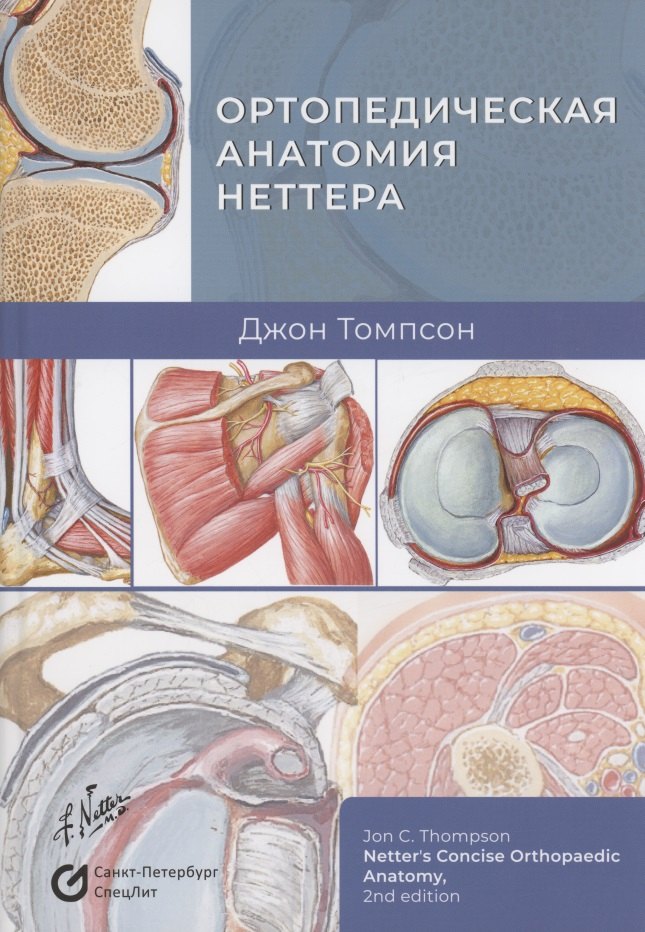 

Ортопедическая анатомия Неттера