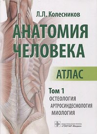Анатомия человека: атлас: в 3-х томах. Том 1. Остеология, артросиндесмология, миология