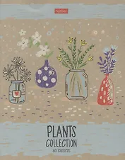 Тетрадь в клетку Hatber, "Ботаника", 80 листов, в ассортименте