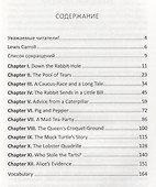 Alice`s Adventures in Wonderland. Книга на английском языке со словарем - 1