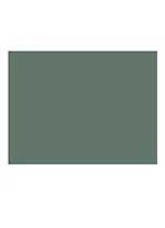 Бумага для пастели 50*65 "Mi-Teintes" 160г/м2 №448 плющ, Canson