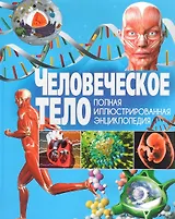 ПИЭ. Человеческое тело