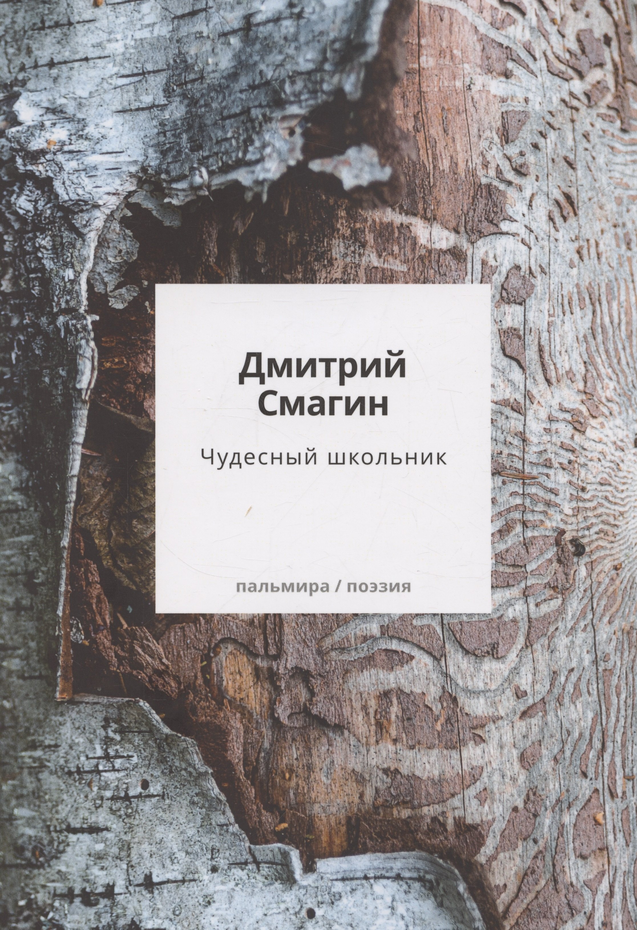 

Чудесный школьник: сборник стихотворений