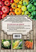 Экономим место на грядке. Повышаем урожай - 1