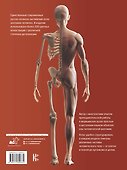 Атлас анатомии человека. Русско-латинско-английское издание - 1