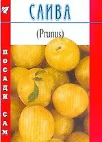 Слива (Посади сам) (мягк). Титов Д. (Школьник)