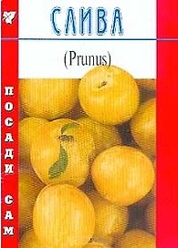 Слива (Посади сам) (мягк). Титов Д. (Школьник)