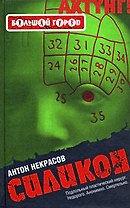 Силикон: роман
