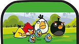 Пенал-косметичка 2отд. "Angry Birds" 20*9*5см, полиэстер, Centrum