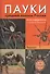 Пауки средней полосы России - 1