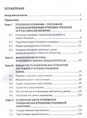 Уголовное уложение 1903 г.: история создания, концептуальные основы, общая характеристика. Монография.-М.:ИГП РАН,2024. - 2