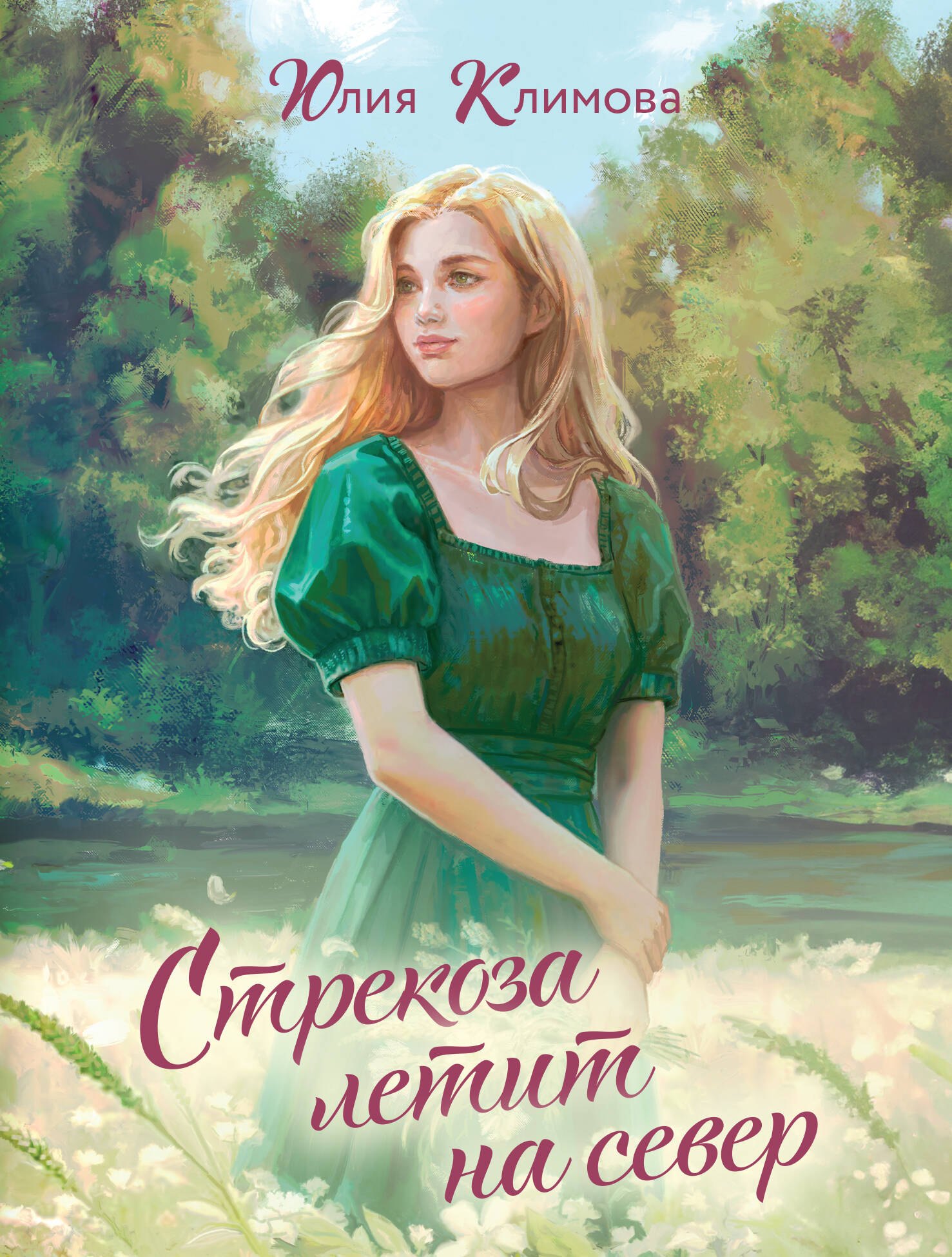 

Стрекоза летит на север