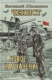 Чекист. Новое назначение
