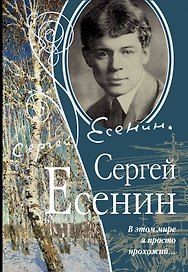 В этом мире я просто прохожий