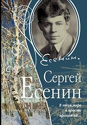 В этом мире я просто прохожий