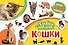 Кошки - 0