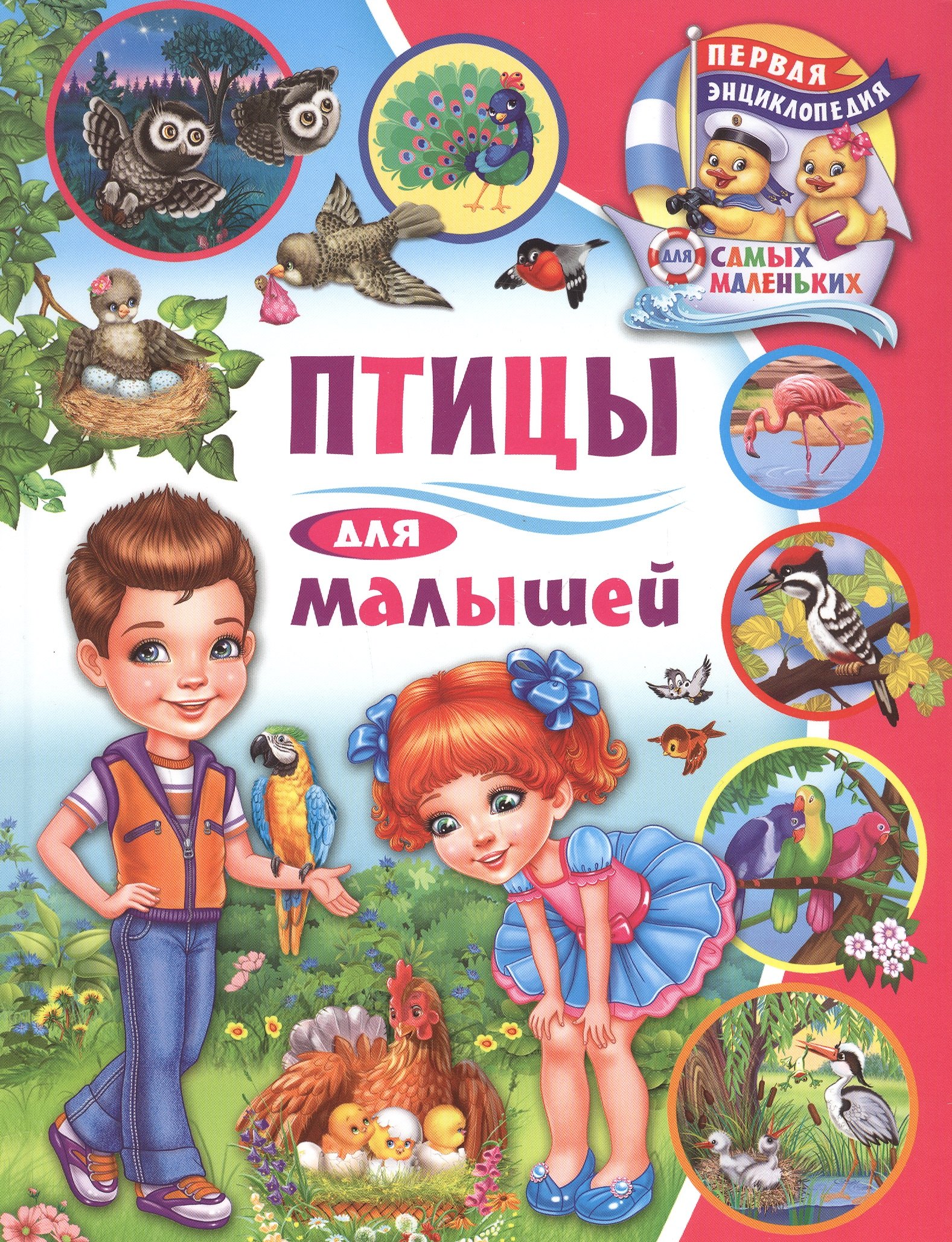 

Птицы для малышей