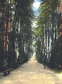 Прогулки в «Царицыне» с краеведом. 3-е издание - 1