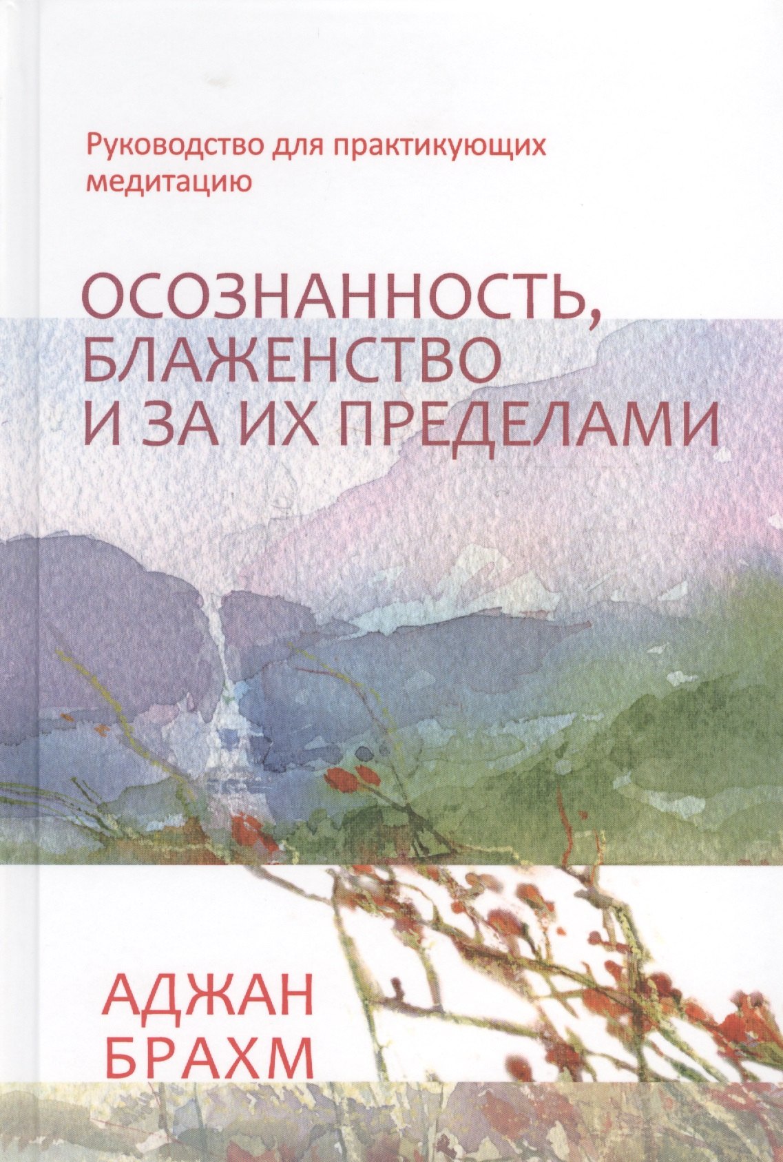 

Осознанность, блаженство и за их пределами. Руководство для практикующих медитацию