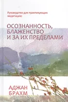 Осознанность, блаженство и за их пределами. Руководство для практикующих медитацию