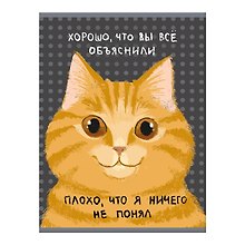Тетрадь А4 60л кл. "Не понял" скрепка, мел.картон, глянц.ламинация
