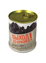 ГИФТМАН Набор для выращивания Выход из кризиса – прибыльное дело, подсолнечник, 9,5*7,5 см