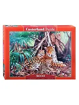 Пазл Castorland 3000 эл. 92*68см. Ягуары в джунглях C-300280