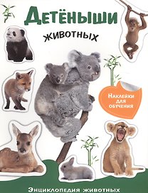 Детеныши животных