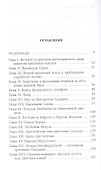 Саладин. Благородный герой ислама - 1
