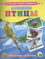 Домашние птицы