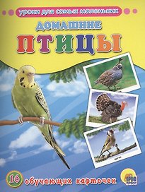 Домашние птицы