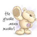 Магнит Fizzy Moon (0633.042) (Не учите меня жить)