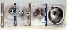 Фотоальбом 10л 23*28см EA™ K.Kimberlin: F.KITTENS переплет внутренняя спираль  LM-SA10 (11614)