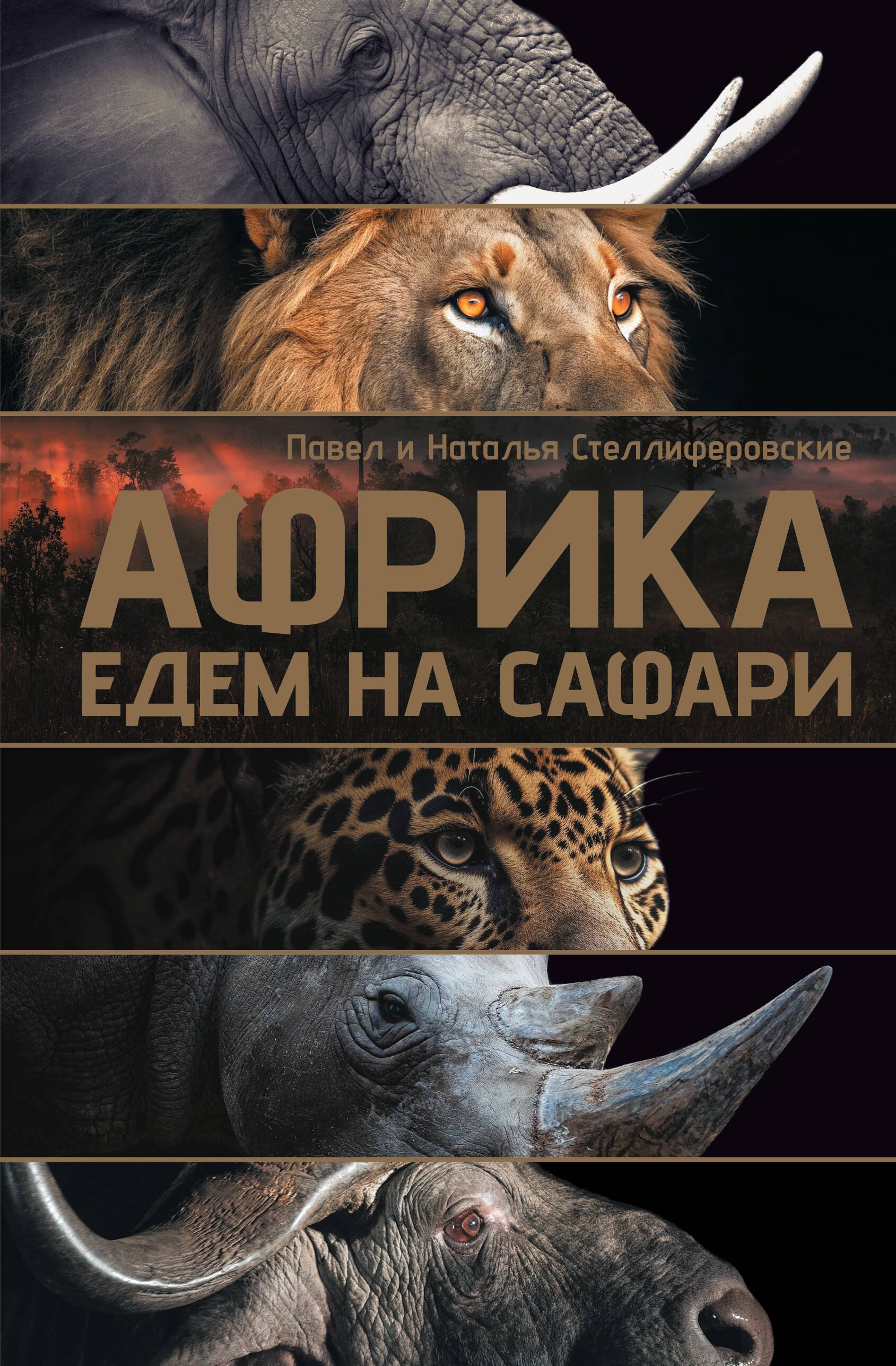 

Африка. Едем на сафари