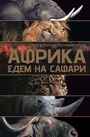 Африка. Едем на сафари