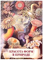 Красота форм в природе