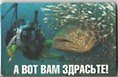 Сувенир Магнит 4*7см пластик. "а вот вам здрасьте"
