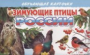 Зимующие птицы России