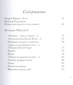 Стихотворения. Тайна старых фотографий - 1