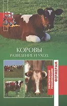 Коровы. Разведение и уход.