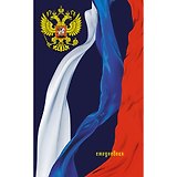 Ежедневник Эксмо А5, 112л. недатированный Государственная символика Ежедневник патриота 7БЦ, мат. лами