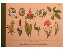 Альбом для рисования «Ботанический сад» Unnika A4, 40 листов, склейка