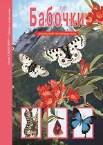 Бабочки: Школьный путеводитель