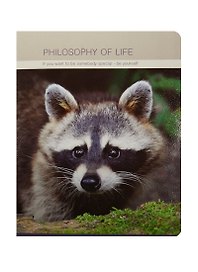 Тетрадь общая «Raccoon», 48 листов в клетку, А5 - Be Smart
