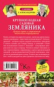 Крупноплодная садовая земляника. Лучшие сорта и современные технологии выращивания - 1