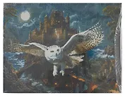 Алмазная мозаика с подрамником, с полным заполнением "Магическая сова и замок", 30 х 40 см