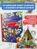 Адвент-календарь. Новогодняя ботаника: прогулка по зимнему лесу - 1